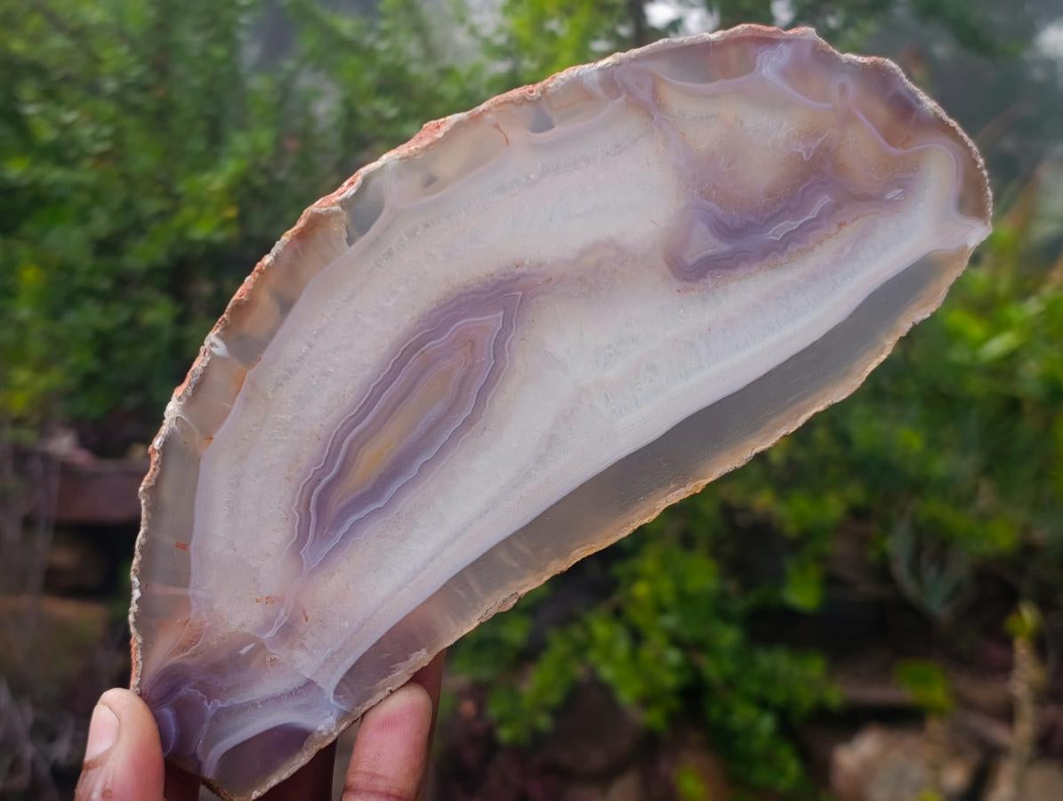 Polished Banded Agate Slices with Natural Edging x 4 From Madagascar - Toprock Gemstones and Minerals 