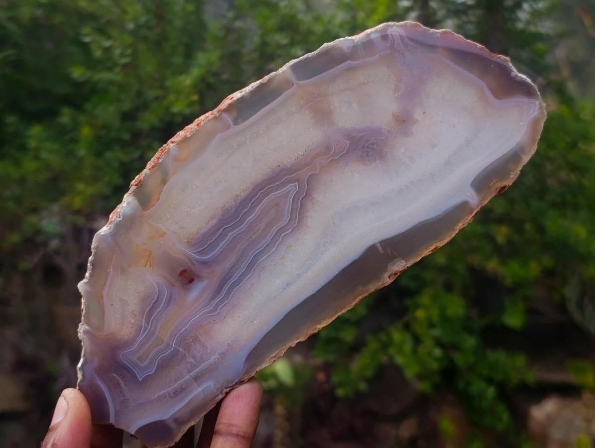 Polished Banded Agate Slices with Natural Edging x 4 From Madagascar - Toprock Gemstones and Minerals 