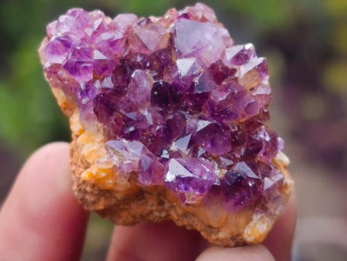 Natural Dark Purple Amethyst Crystal Plates x 63 From Boekenhouthoek, South Africa - Toprock Gemstones and Minerals 