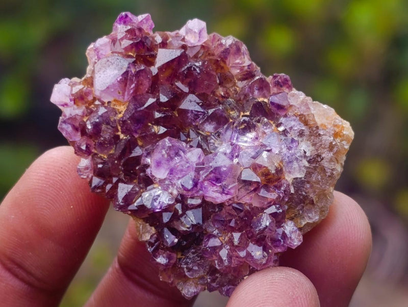 Natural Dark Purple Amethyst Crystal Plates x 63 From Boekenhouthoek, South Africa - Toprock Gemstones and Minerals 