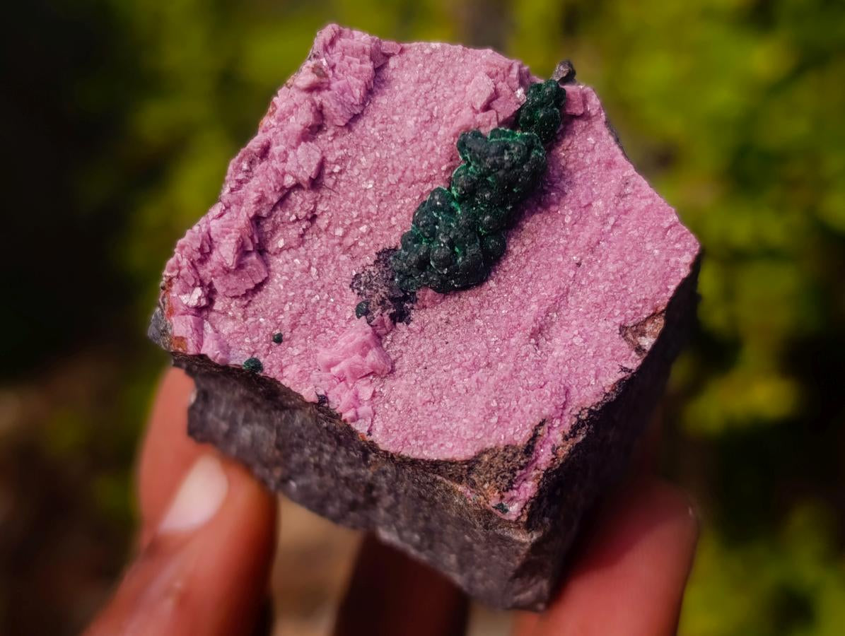 Natural Drusy Salrose Cobaltoan Dolomite Specimens x 13 From Kakanda, Congo - Toprock Gemstones and Minerals 