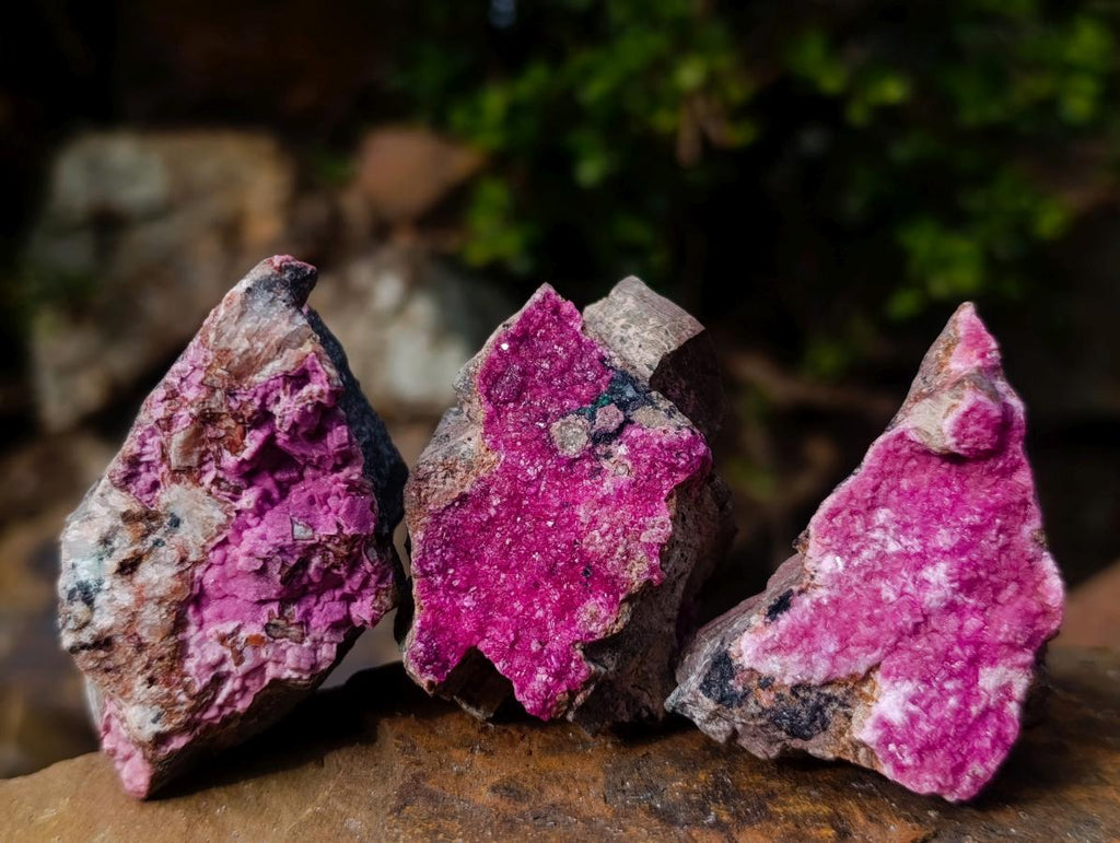 Natural Drusy Salrose Cobaltoan Dolomite Specimens x 13 From Kakanda, Congo - Toprock Gemstones and Minerals 
