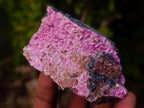 Natural Drusy Salrose Cobaltoan Dolomite Specimens x 13 From Kakanda, Congo - Toprock Gemstones and Minerals 