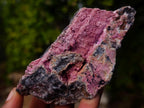Natural Drusy Salrose Cobaltoan Dolomite Specimens x 13 From Kakanda, Congo - Toprock Gemstones and Minerals 