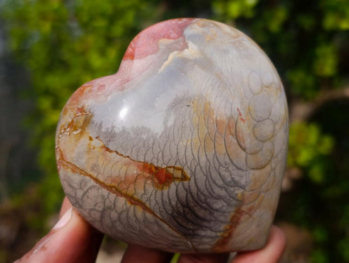 Polished Ocean Jasper Hearts x 6 From Northwest Coast, Madagascar - Toprock Gemstones and Minerals 