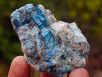 Natural Cobbed Shattuckite Specimens x 2,96 Kg Lot From Kaokoveld, Namibia - Toprock Gemstones and Minerals 