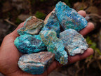 Natural Cobbed Shattuckite Specimens x 2,96 Kg Lot From Kaokoveld, Namibia - Toprock Gemstones and Minerals 