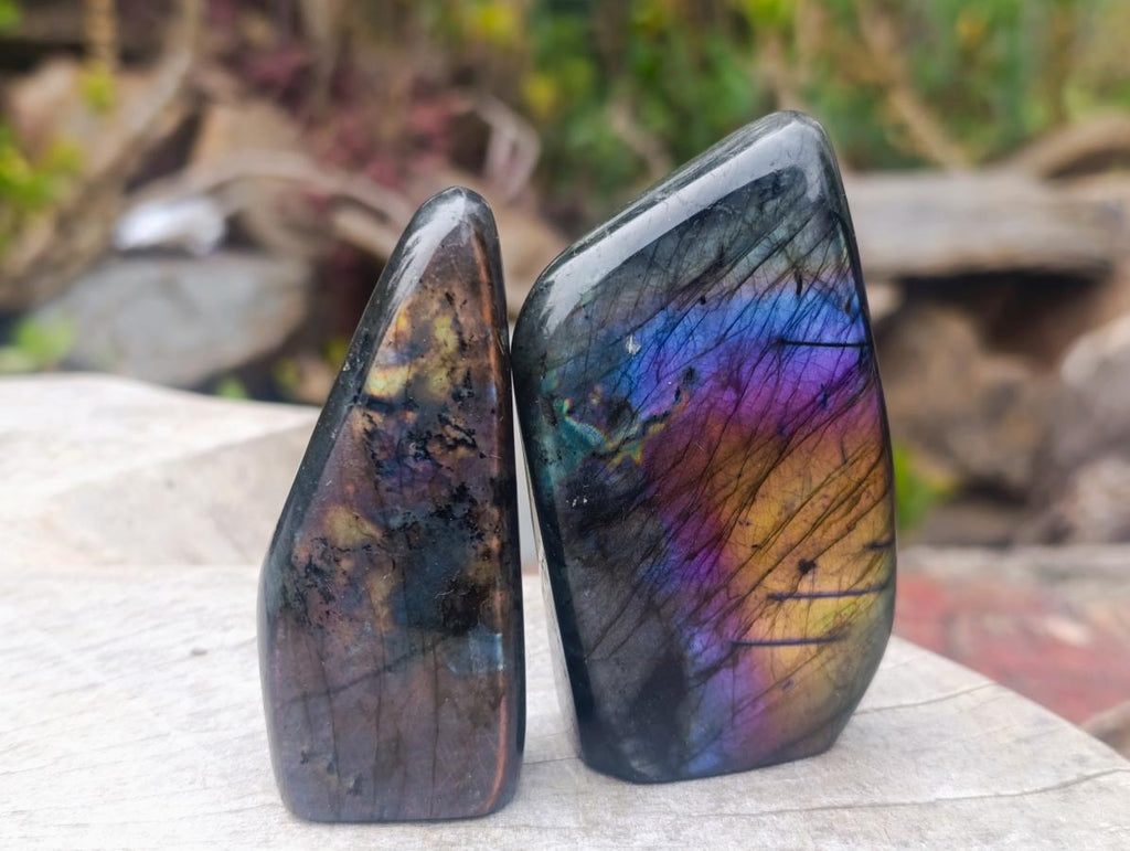 Polished Labradorite Standing Display Pieces x 6 From Madagascar - Toprock Gemstones and Minerals 