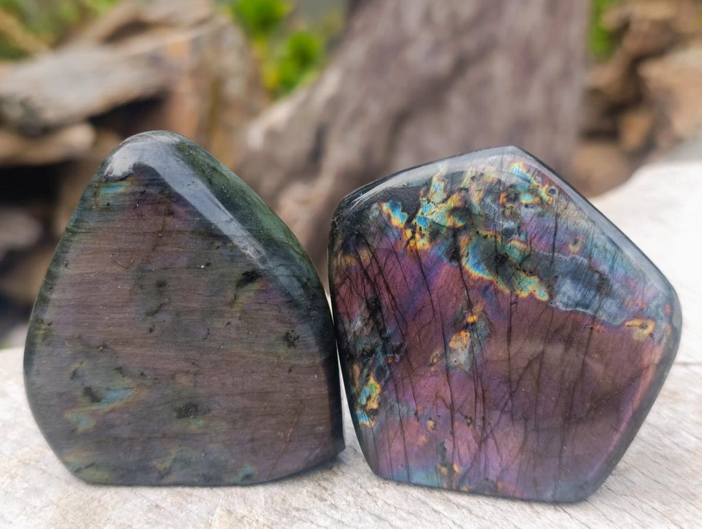 Polished Labradorite Standing Display Pieces x 6 From Madagascar - Toprock Gemstones and Minerals 