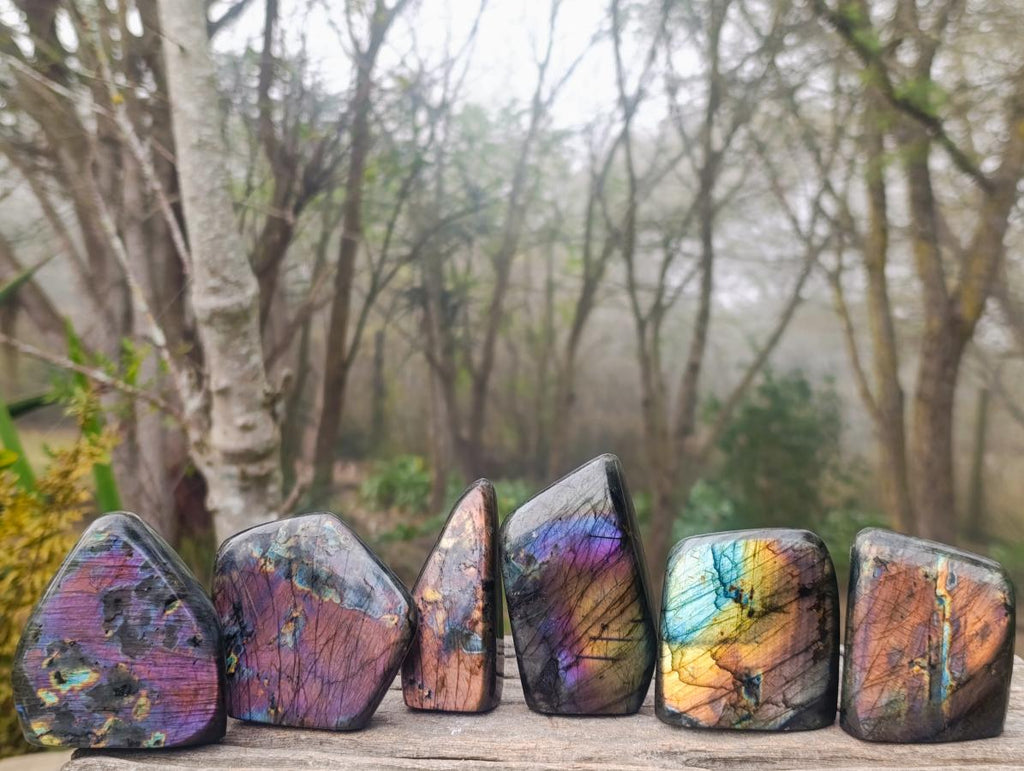 Polished Labradorite Standing Display Pieces x 6 From Madagascar - Toprock Gemstones and Minerals 