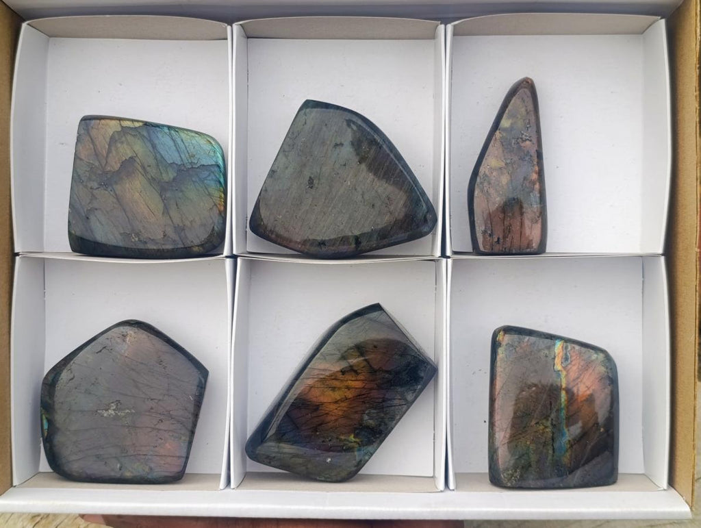Polished Labradorite Standing Display Pieces x 6 From Madagascar - Toprock Gemstones and Minerals 