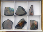 Polished Labradorite Standing Display Pieces x 6 From Madagascar - Toprock Gemstones and Minerals 