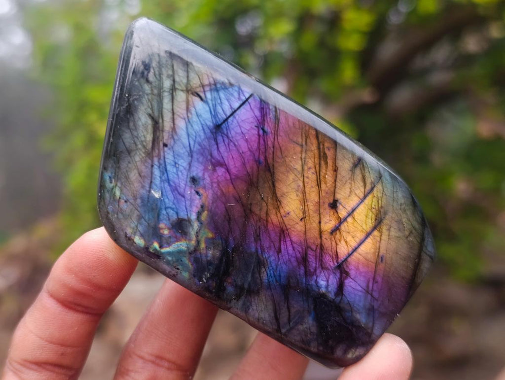 Polished Labradorite Standing Display Pieces x 6 From Madagascar - Toprock Gemstones and Minerals 