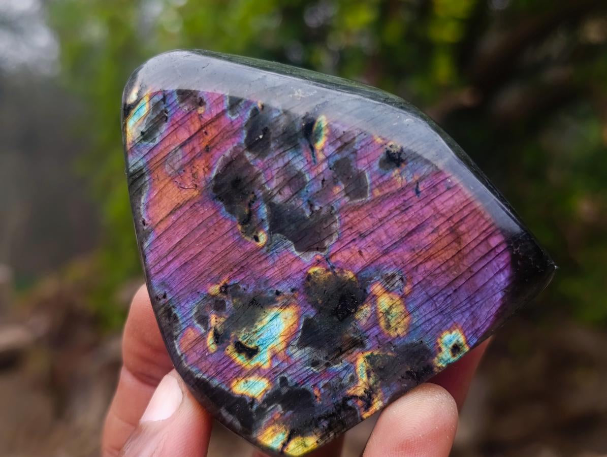 Polished Labradorite Standing Display Pieces x 6 From Madagascar - Toprock Gemstones and Minerals 