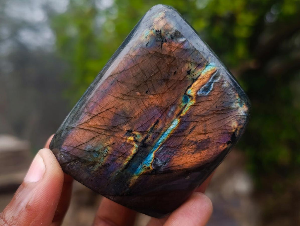 Polished Labradorite Standing Display Pieces x 6 From Madagascar - Toprock Gemstones and Minerals 