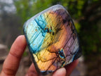 Polished Labradorite Standing Display Pieces x 6 From Madagascar - Toprock Gemstones and Minerals 