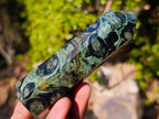 Polished Stromatolite "Kambaba Jasper" Display Crystals x 12 From Katsepy, Madagascar - Toprock Gemstones and Minerals 