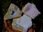 Natural Blue Lace Agate Geode Specimens x 12 From Nsanje, Malawi - Toprock Gemstones and Minerals 