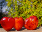 Polished Carnelian Agate Gemstone Hearts x 15 From Madagascar - Toprock Gemstones and Minerals 
