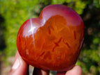 Polished Carnelian Agate Gemstone Hearts x 15 From Madagascar - Toprock Gemstones and Minerals 