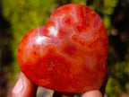 Polished Carnelian Agate Gemstone Hearts x 15 From Madagascar - Toprock Gemstones and Minerals 