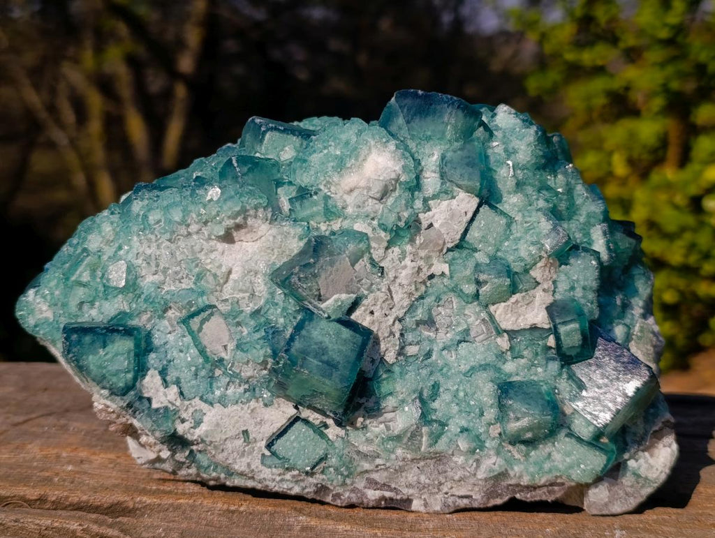 Natural Large Green Cubic Fluorite Specimen x 1 From Mandrosonoro, Madagascar - Toprock Gemstones and Minerals 