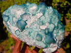Natural Large Green Cubic Fluorite Specimen x 1 From Mandrosonoro, Madagascar - Toprock Gemstones and Minerals 