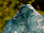 Natural Large Green Cubic Fluorite Specimen x 1 From Mandrosonoro, Madagascar - Toprock Gemstones and Minerals 