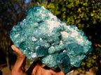 Natural Large Green Cubic Fluorite Specimen x 1 From Mandrosonoro, Madagascar - Toprock Gemstones and Minerals 