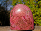 Polished Large Rhodonite Standing Display Piece x 1 From Rhusinga, Zimbabwe - Toprock Gemstones and Minerals 