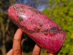 Polished Large Rhodonite Standing Display Piece x 1 From Rhusinga, Zimbabwe - Toprock Gemstones and Minerals 