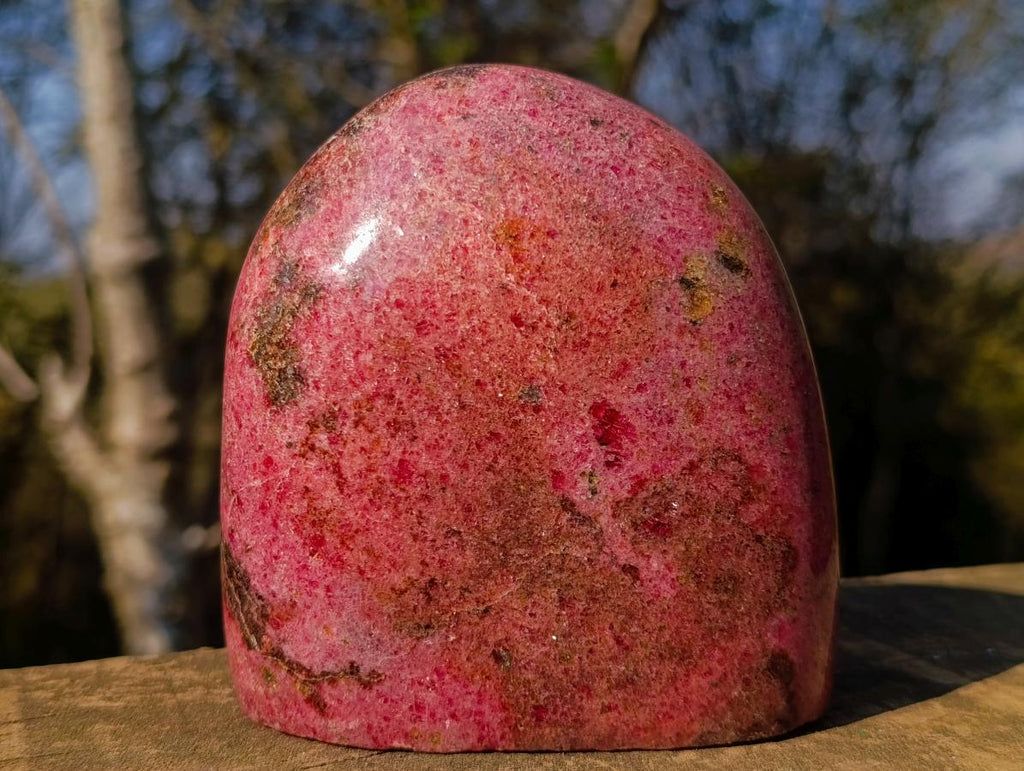 Polished Large Rhodonite Standing Display Piece x 1 From Rhusinga, Zimbabwe - Toprock Gemstones and Minerals 