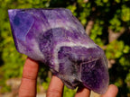 Polished Chevron Amethyst Witches Hat Crystals x 4 From Zambia - Toprock Gemstones and Minerals 