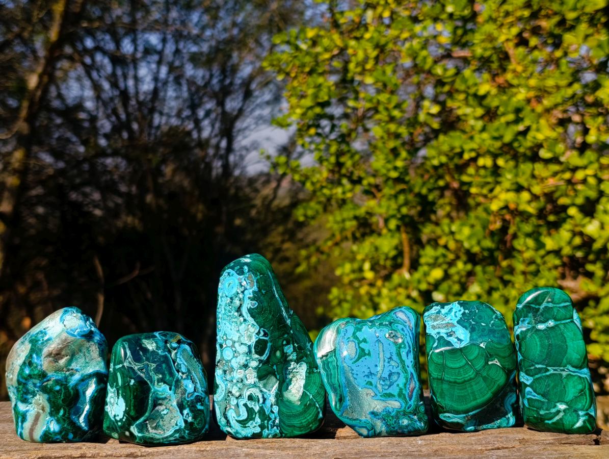 Polished Malacolla Free Forms x 6 From Kulukuluku, Congo - Toprock Gemstones and Minerals 