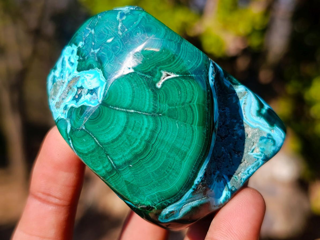 Polished Malacolla Free Forms x 6 From Kulukuluku, Congo - Toprock Gemstones and Minerals 