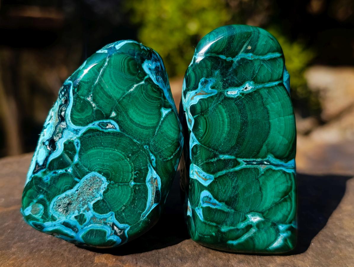 Polished Malacolla Free Forms x 6 From Kulukuluku, Congo - Toprock Gemstones and Minerals 