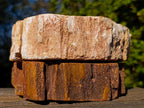 Polished Podocarpus Petrified Wood Ashtrays x 2 From Mahajanga, Madagascar - Toprock Gemstones and Minerals 