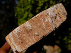 Polished Podocarpus Petrified Wood Ashtrays x 2 From Mahajanga, Madagascar - Toprock Gemstones and Minerals 