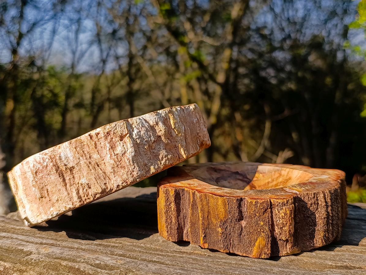 Polished Podocarpus Petrified Wood Ashtrays x 2 From Mahajanga, Madagascar - Toprock Gemstones and Minerals 