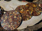 Hand Made Ammonite Conglomerate Display Plaques x 3 From Mahajanga, Madagascar - Toprock Gemstones and Minerals 