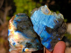 Polished Mini on One Side Labradorite Slices x 70 From Madagascar - Toprock Gemstones and Minerals 