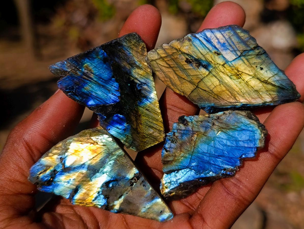 Polished Mini on One Side Labradorite Slices x 70 From Madagascar - Toprock Gemstones and Minerals 