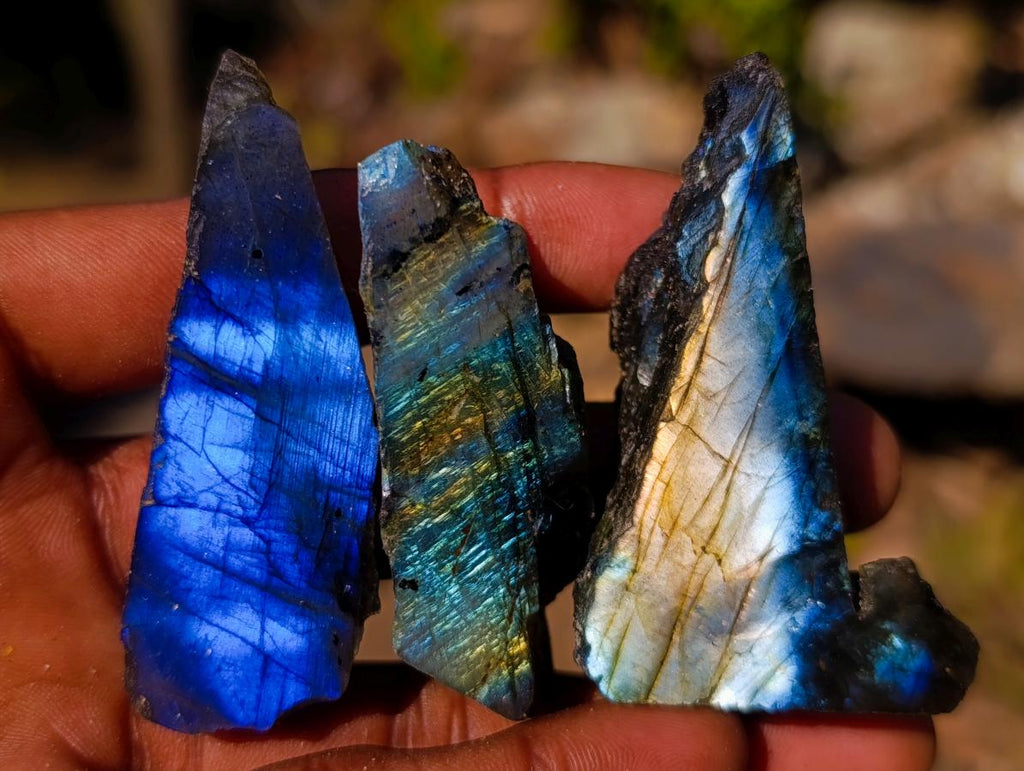 Polished Mini on One Side Labradorite Slices x 70 From Madagascar - Toprock Gemstones and Minerals 