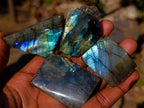 Polished Mini on One Side Labradorite Slices x 70 From Madagascar - Toprock Gemstones and Minerals 