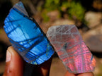 Polished Mini on One Side Labradorite Slices x 70 From Madagascar - Toprock Gemstones and Minerals 
