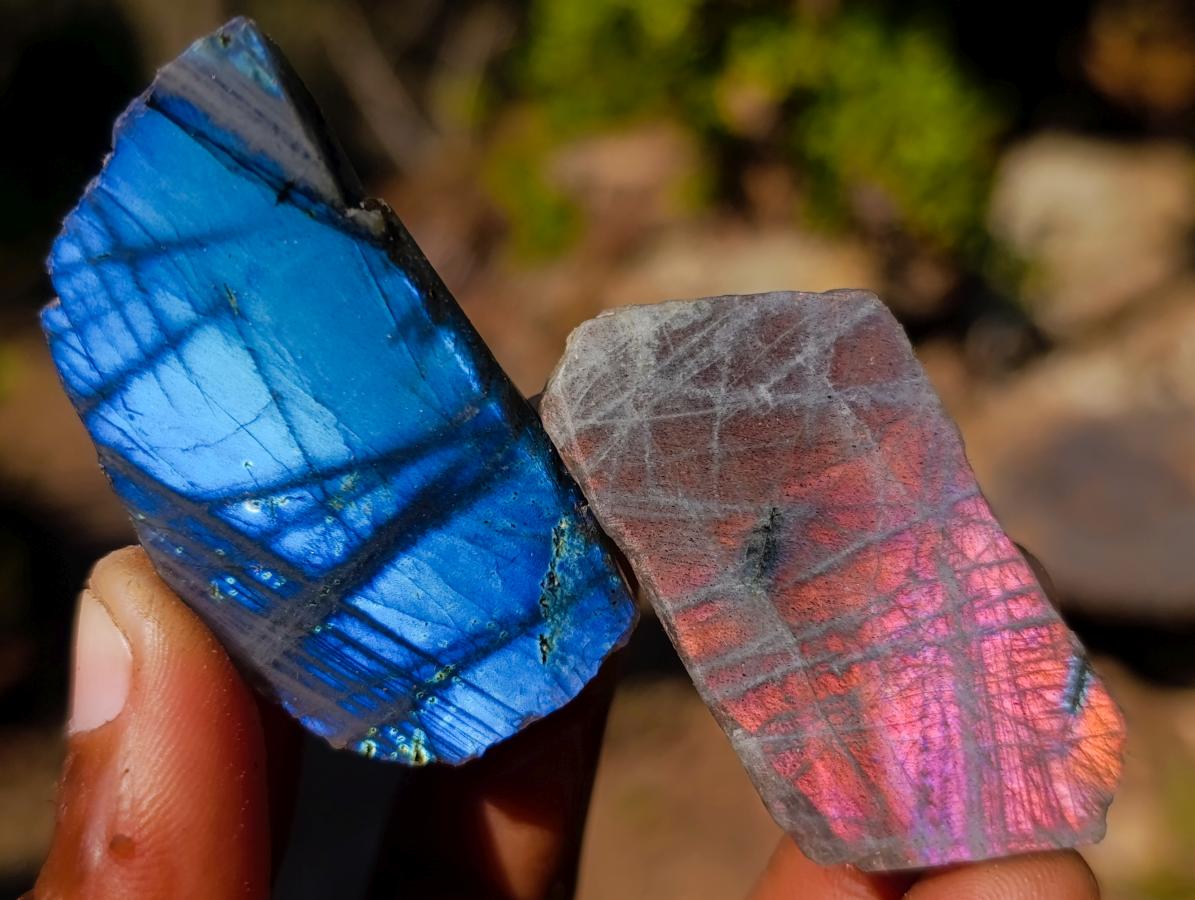 Polished Mini on One Side Labradorite Slices x 70 From Madagascar - Toprock Gemstones and Minerals 