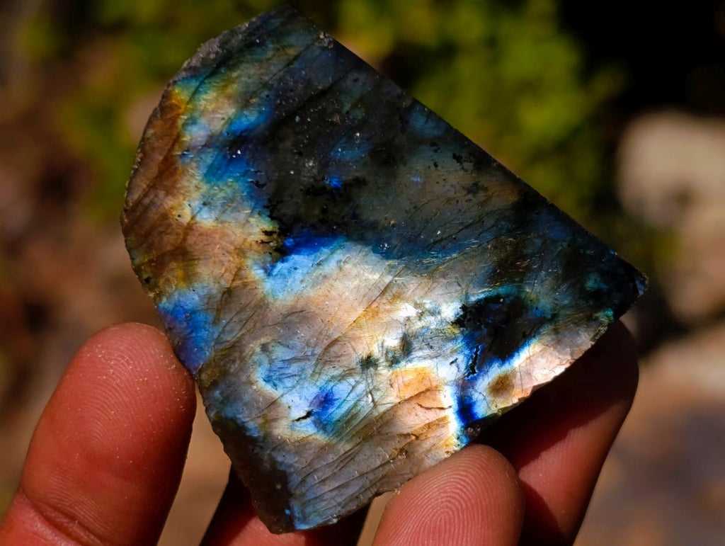 Polished Mini on One Side Labradorite Slices x 70 From Madagascar - Toprock Gemstones and Minerals 