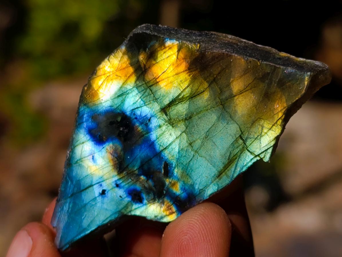 Polished Mini on One Side Labradorite Slices x 70 From Madagascar - Toprock Gemstones and Minerals 