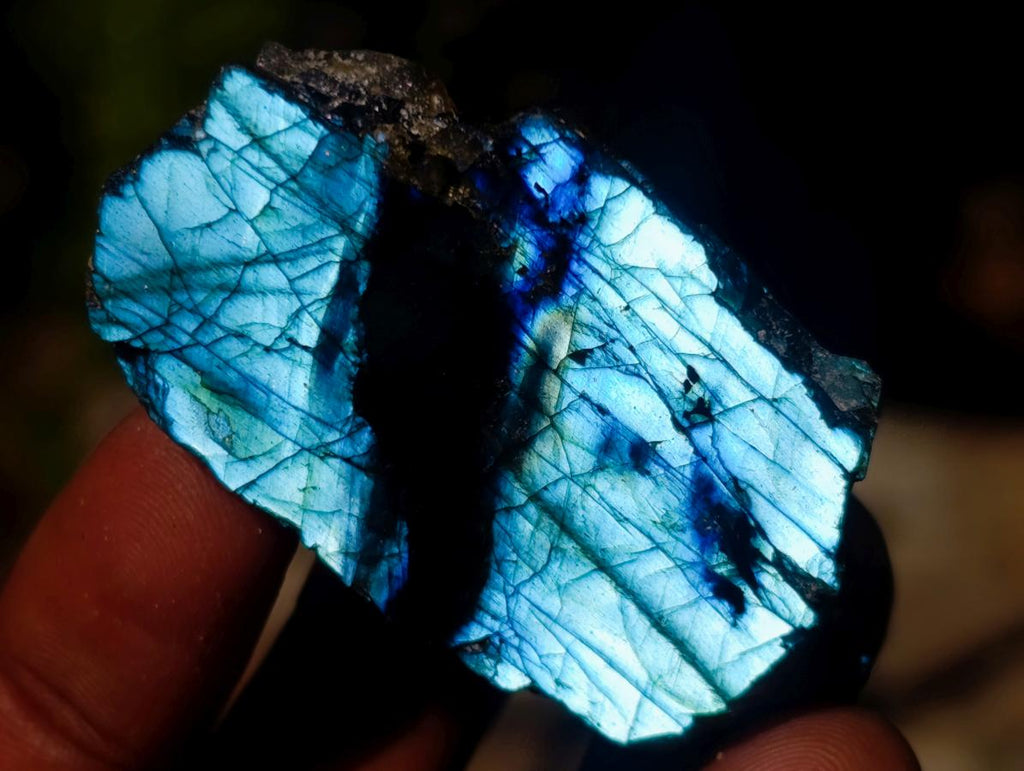 Polished Mini on One Side Labradorite Slices x 70 From Madagascar - Toprock Gemstones and Minerals 