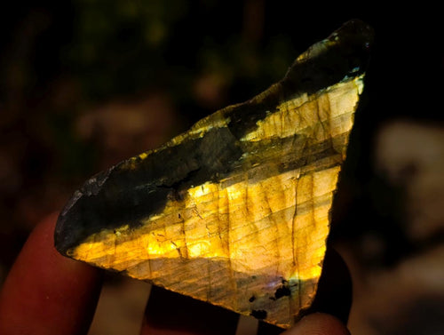Polished Mini on One Side Labradorite Slices x 70 From Madagascar - Toprock Gemstones and Minerals 